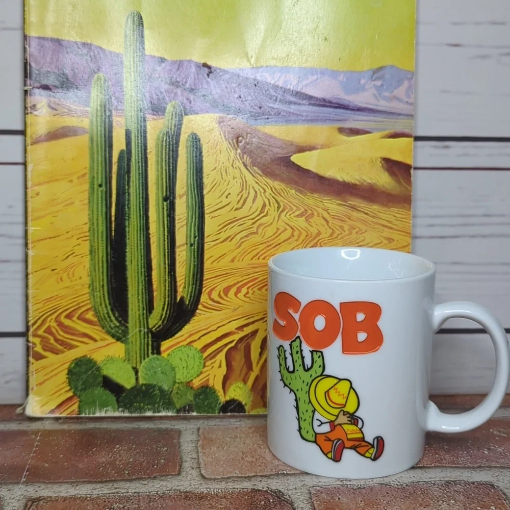 Vintage SOB South of the Border or Son‎ of a B Napping Mexican Cactus Mug